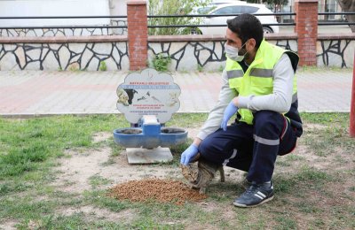 Bayraklı Belediyesi can dostları unutmadı